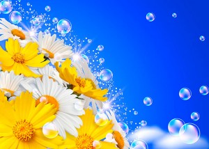 Fotooboi Cvety (105)